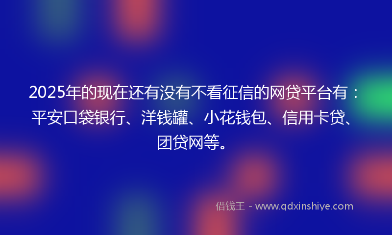 2025年的现在还有没有不看征信的网贷平台有：平安口袋银行、洋钱罐、小花钱包、信用卡贷、团贷网等。