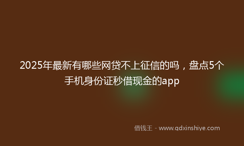 2025年最新有哪些网贷不上征信的吗，盘点5个手机身份证秒借现金的app
