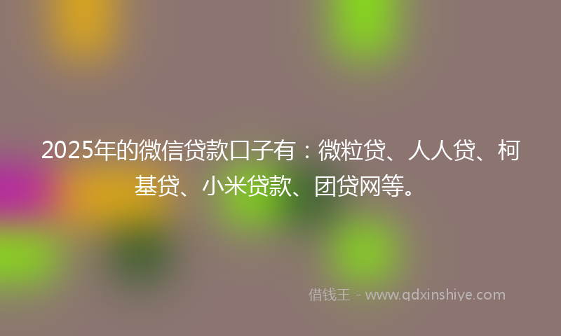 2025年的微信贷款口子有：微粒贷、人人贷、柯基贷、小米贷款、团贷网等。