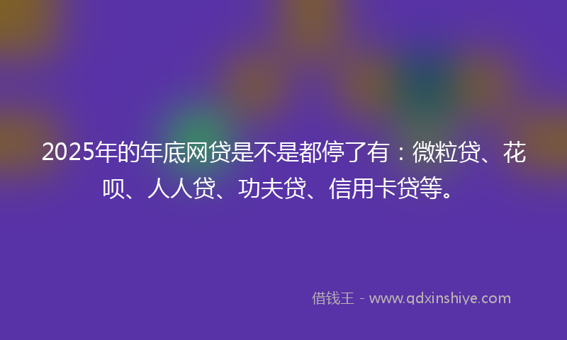 2025年的年底网贷是不是都停了有：微粒贷、花呗、人人贷、功夫贷、信用卡贷等。