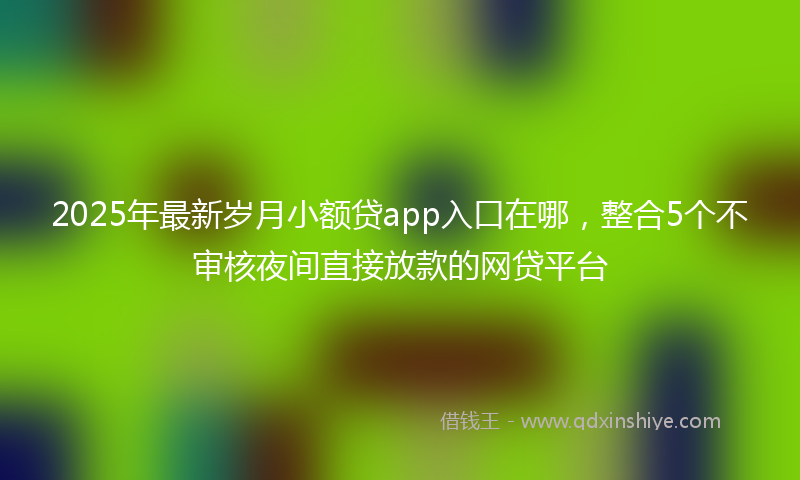 2025年最新岁月小额贷app入口在哪，整合5个不审核夜间直接放款的网贷平台