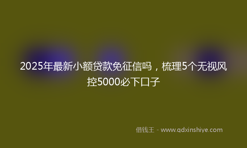 2025年最新小额贷款免征信吗，梳理5个无视风控5000必下口子