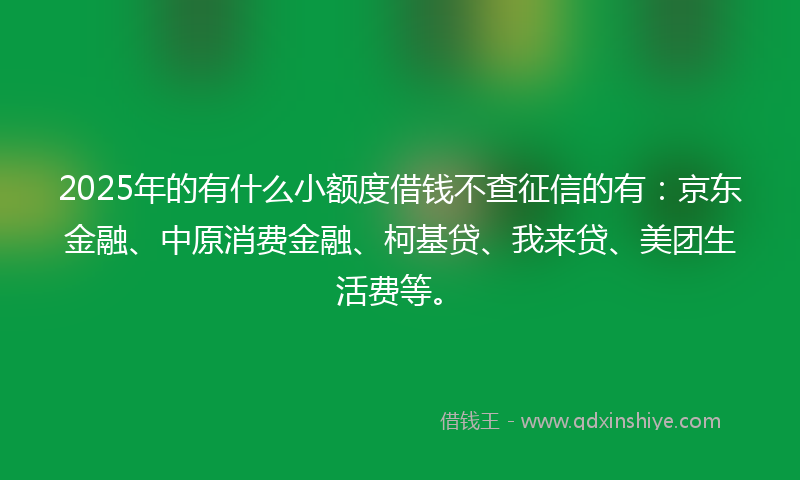 2025年的有什么小额度借钱不查征信的有：京东金融、中原消费金融、柯基贷、我来贷、美团生活费等。