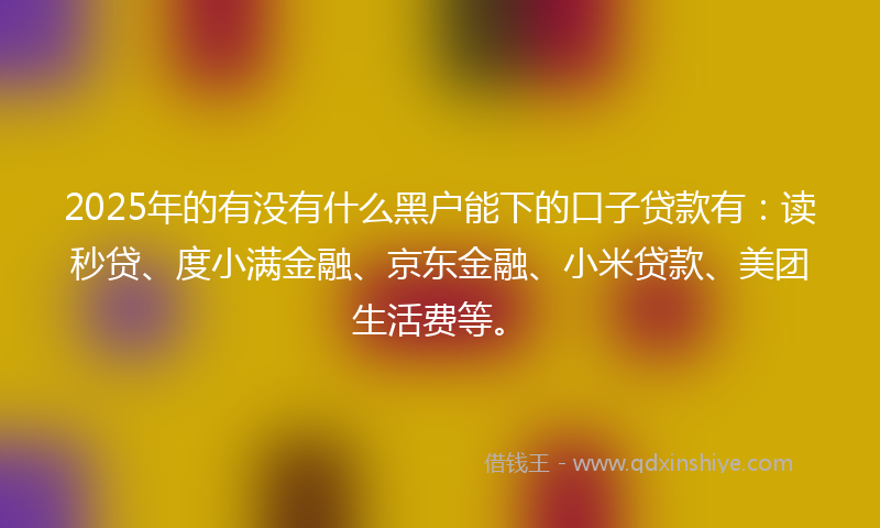 2025年的有没有什么黑户能下的口子贷款有：读秒贷、度小满金融、京东金融、小米贷款、美团生活费等。