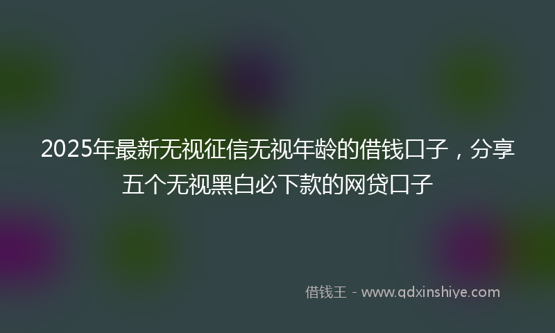 2025年最新无视征信无视年龄的借钱口子，分享五个无视黑白必下款的网贷口子