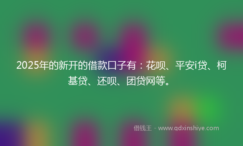 2025年的新开的借款口子有：花呗、平安i贷、柯基贷、还呗、团贷网等。