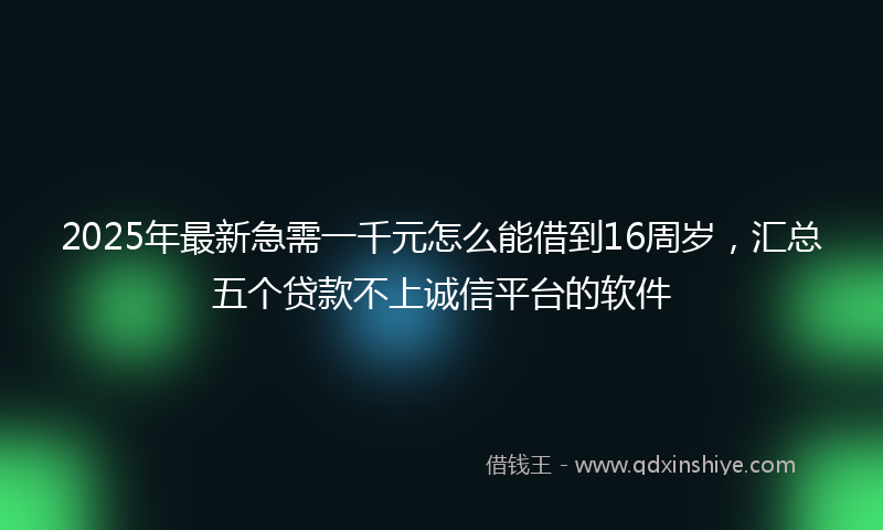 2025年最新急需一千元怎么能借到16周岁，汇总五个贷款不上诚信平台的软件