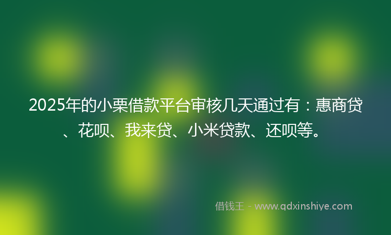 2025年的小栗借款平台审核几天通过有：惠商贷、花呗、我来贷、小米贷款、还呗等。