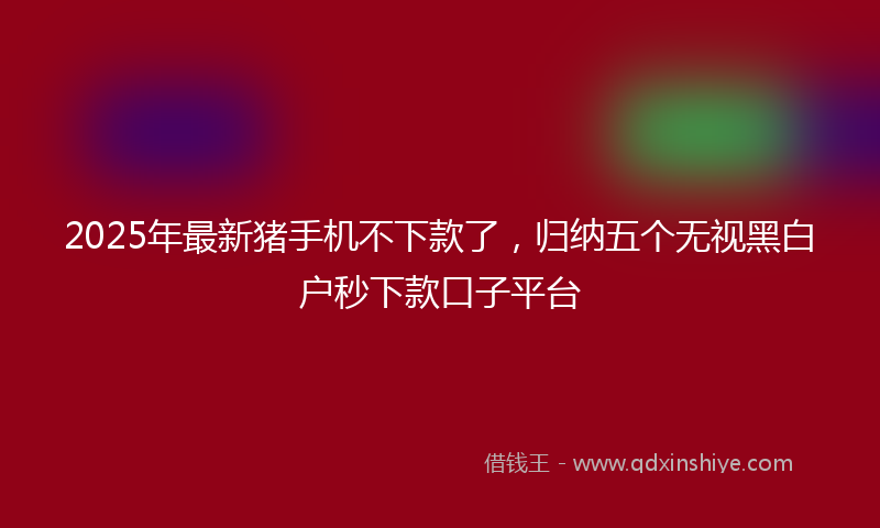 2025年最新猪手机不下款了，归纳五个无视黑白户秒下款口子平台