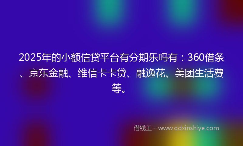 2025年的小额信贷平台有分期乐吗有：360借条、京东金融、维信卡卡贷、融逸花、美团生活费等。