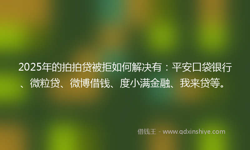 2025年的拍拍贷被拒如何解决有：平安口袋银行、微粒贷、微博借钱、度小满金融、我来贷等。