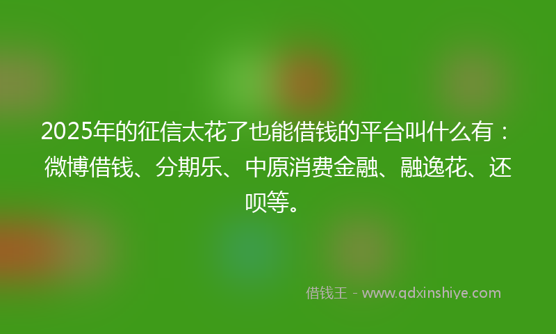 2025年的征信太花了也能借钱的平台叫什么有：微博借钱、分期乐、中原消费金融、融逸花、还呗等。