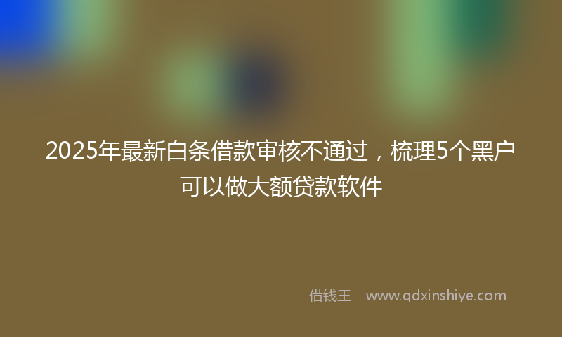 2025年最新白条借款审核不通过，梳理5个黑户可以做大额贷款软件
