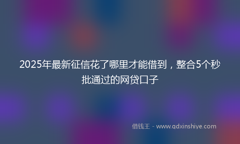 2025年最新征信花了哪里才能借到，整合5个秒批通过的网贷口子