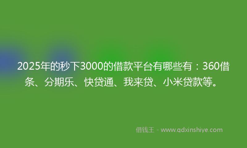 2025年的秒下3000的借款平台有哪些有：360借条、分期乐、快贷通、我来贷、小米贷款等。