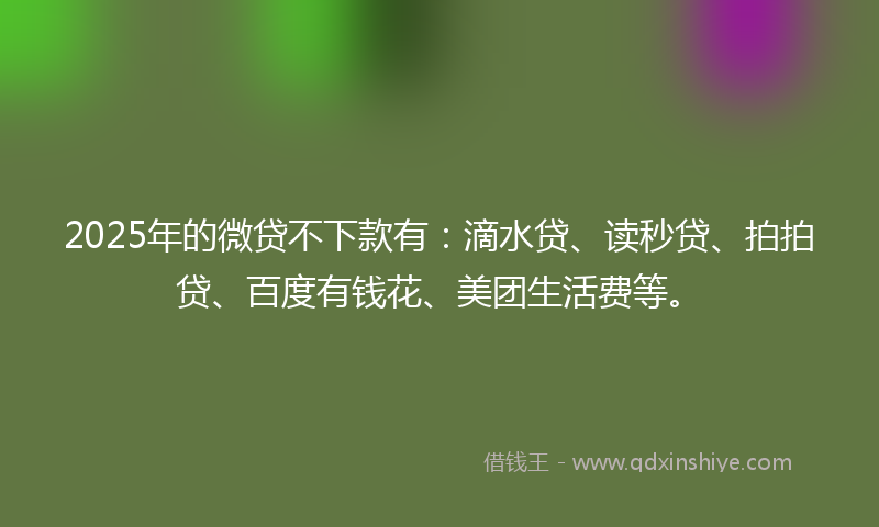 2025年的微贷不下款有:滴水贷、读秒贷、拍拍贷、百度有钱花、美团生活费等。