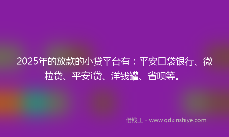 2025年的放款的小贷平台有：平安口袋银行、微粒贷、平安i贷、洋钱罐、省呗等。