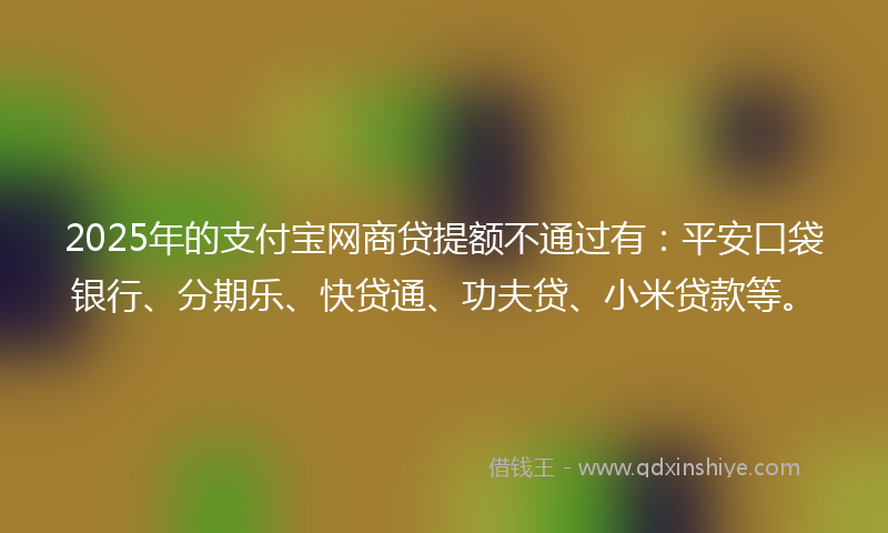 2025年的支付宝网商贷提额不通过有：平安口袋银行、分期乐、快贷通、功夫贷、小米贷款等。