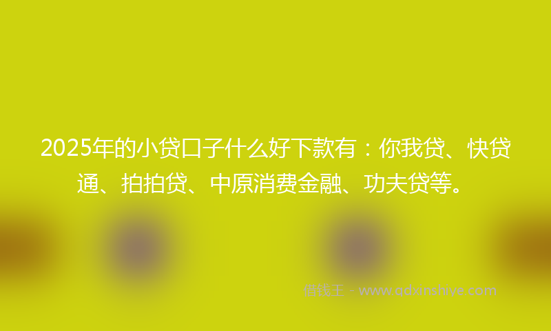 2025年的小贷口子什么好下款有：你我贷、快贷通、拍拍贷、中原消费金融、功夫贷等。