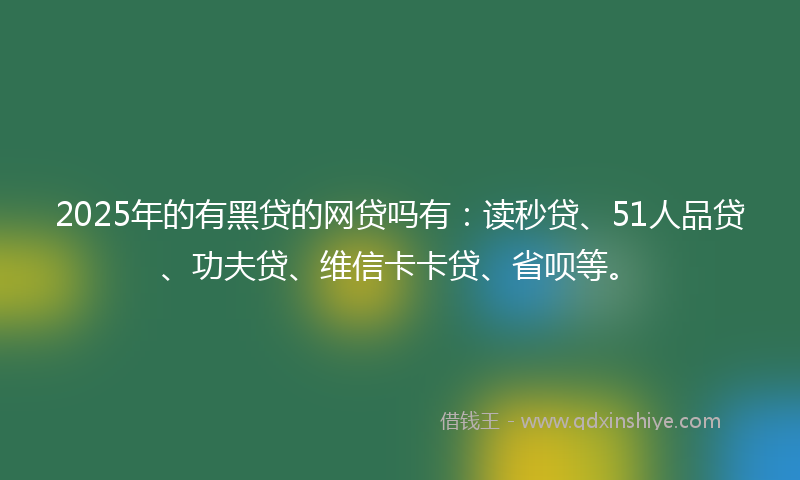 2025年的有黑贷的网贷吗有：读秒贷、51人品贷、功夫贷、维信卡卡贷、省呗等。