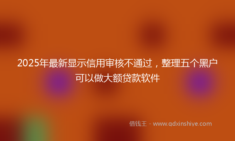 2025年最新显示信用审核不通过，整理五个黑户可以做大额贷款软件