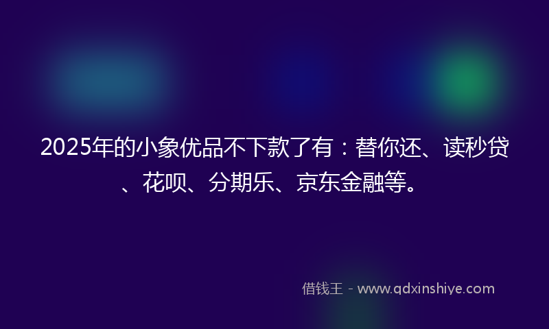 2025年的小象优品不下款了有：替你还、读秒贷、花呗、分期乐、京东金融等。