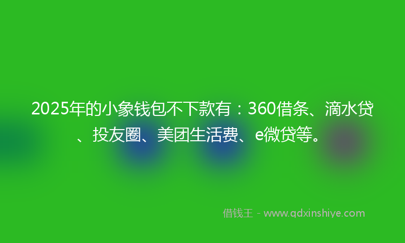 2025年的小象钱包不下款有：360借条、滴水贷、投友圈、美团生活费、e微贷等。