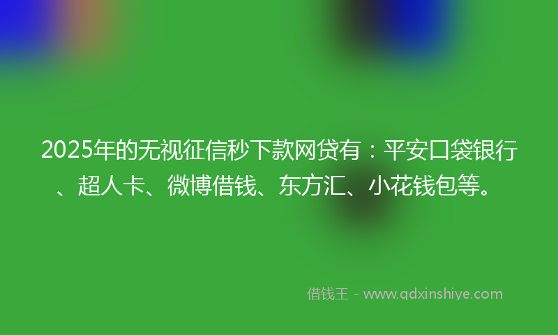 2025年的无视征信秒下款网贷有：平安口袋银行、超人卡、微博借钱、东方汇、小花钱包等。
