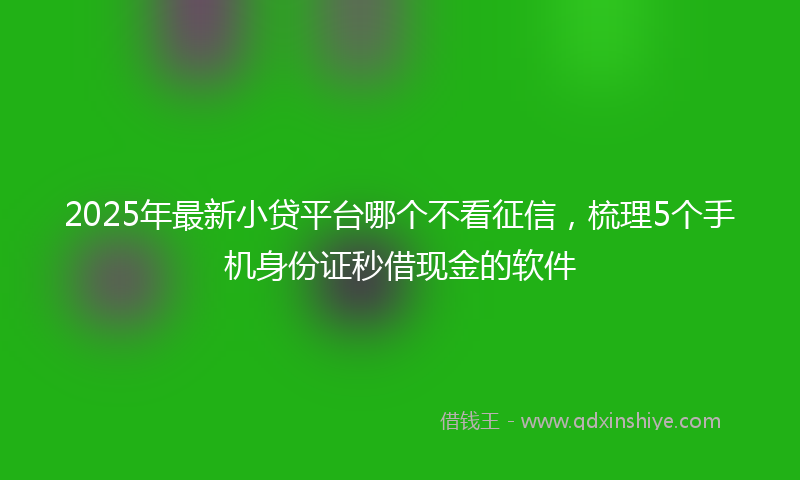2025年最新小贷平台哪个不看征信，梳理5个手机身份证秒借现金的软件