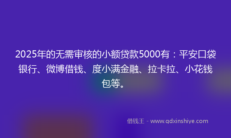 2025年的无需审核的小额贷款5000有：平安口袋银行、微博借钱、度小满金融、拉卡拉、小花钱包等。