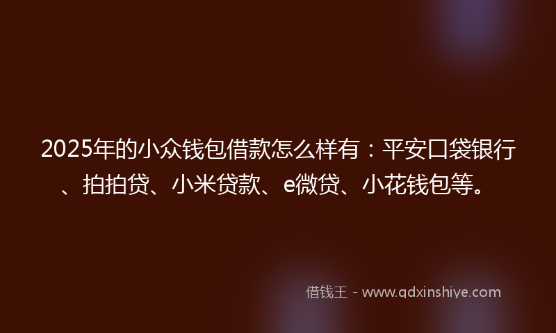 2025年的小众钱包借款怎么样有：平安口袋银行、拍拍贷、小米贷款、e微贷、小花钱包等。