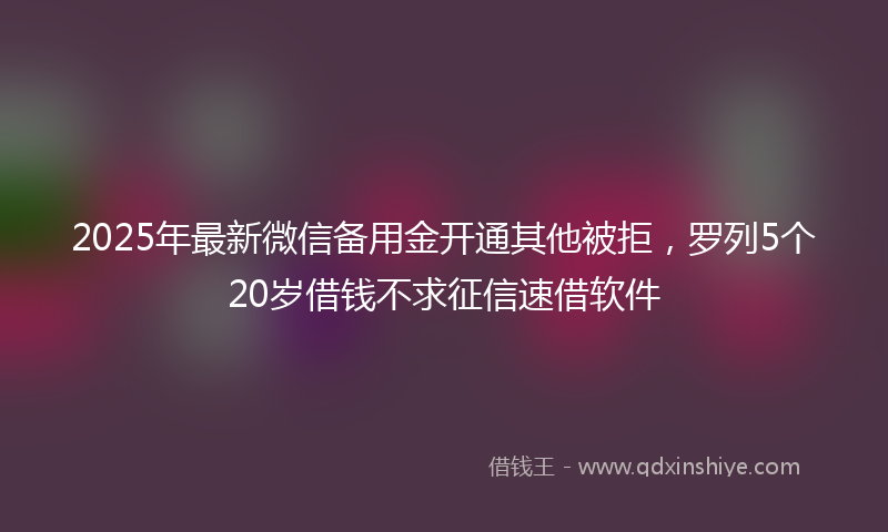 2025年最新微信备用金开通其他被拒，罗列5个20岁借钱不求征信速借软件