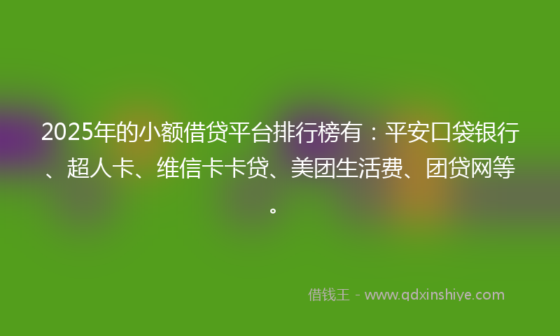 2025年的小额借贷平台排行榜有：平安口袋银行、超人卡、维信卡卡贷、美团生活费、团贷网等。