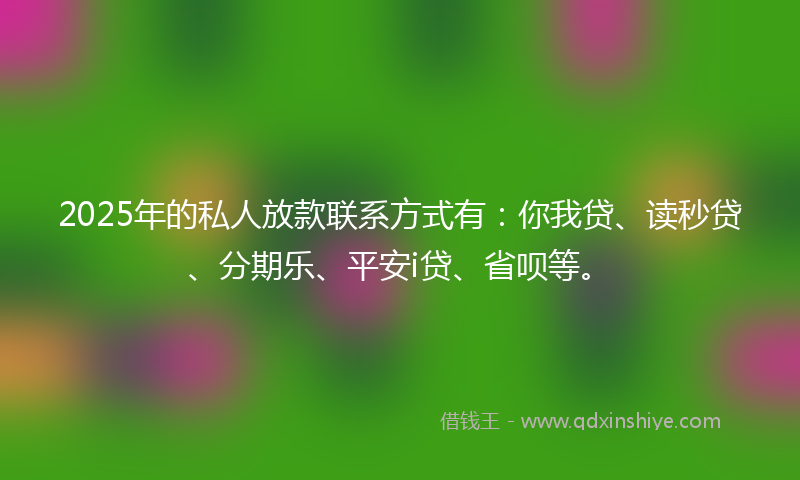 2025年的私人放款联系方式有：你我贷、读秒贷、分期乐、平安i贷、省呗等。