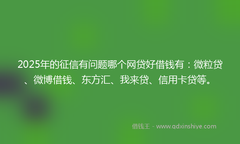 2025年的征信有问题哪个网贷好借钱有：微粒贷、微博借钱、东方汇、我来贷、信用卡贷等。
