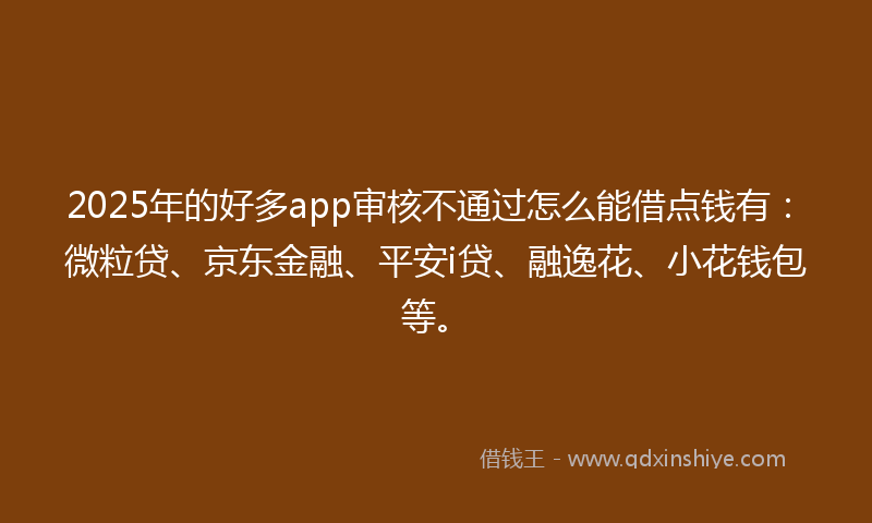 2025年的好多app审核不通过怎么能借点钱有：微粒贷、京东金融、平安i贷、融逸花、小花钱包等。