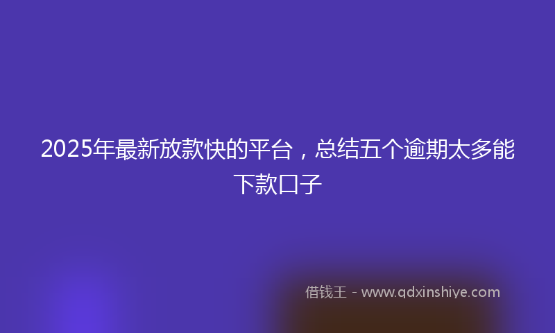 2025年最新放款快的平台，总结五个逾期太多能下款口子