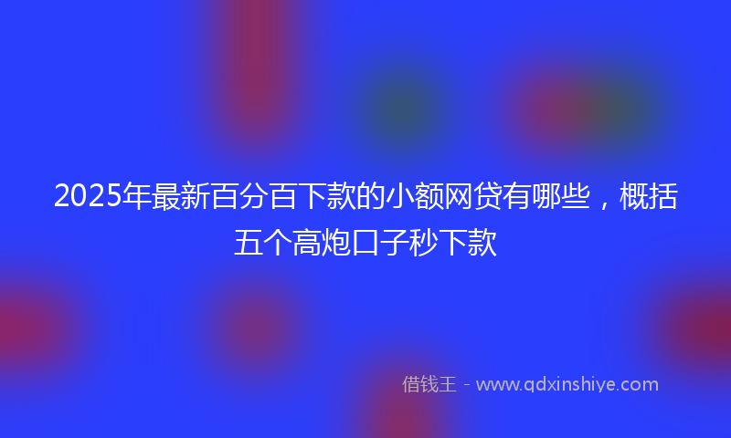 2025年最新百分百下款的小额网贷有哪些，概括五个高炮口子秒下款