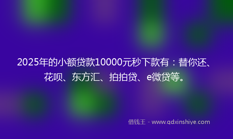 2025年的小额贷款10000元秒下款有：替你还、花呗、东方汇、拍拍贷、e微贷等。