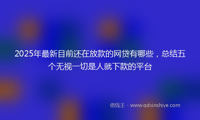 2025年最新目前还在放款的网贷有哪些，总结五个无视一切是人就下款的平台