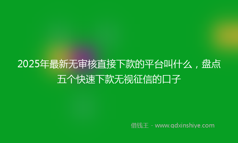 2025年最新无审核直接下款的平台叫什么，盘点五个快速下款无视征信的口子