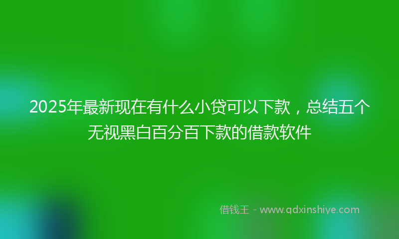2025年最新现在有什么小贷可以下款，总结五个无视黑白百分百下款的借款软件