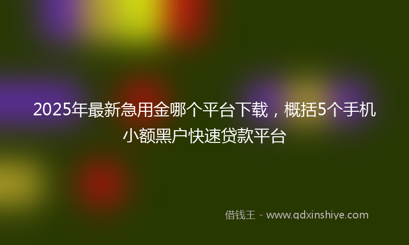 2025年最新急用金哪个平台下载，概括5个手机小额黑户快速贷款平台