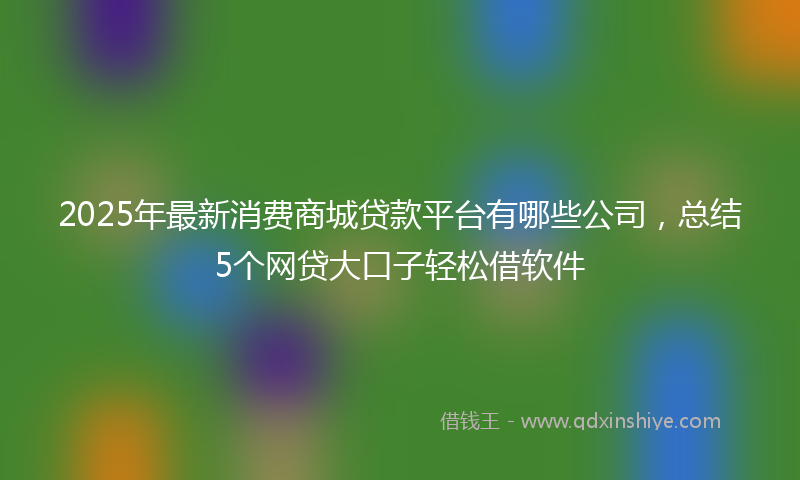 2025年最新消费商城贷款平台有哪些公司，总结5个网贷大口子轻松借软件