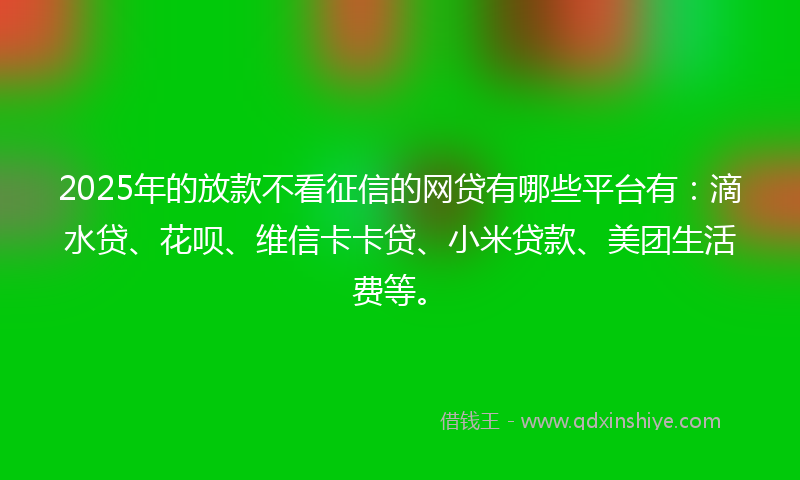 2025年的放款不看征信的网贷有哪些平台有：滴水贷、花呗、维信卡卡贷、小米贷款、美团生活费等。