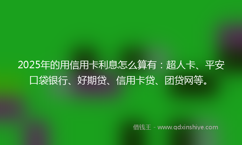 2025年的用信用卡利息怎么算有：超人卡、平安口袋银行、好期贷、信用卡贷、团贷网等。