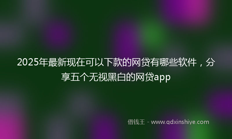 2025年最新现在可以下款的网贷有哪些软件，分享五个无视黑白的网贷app