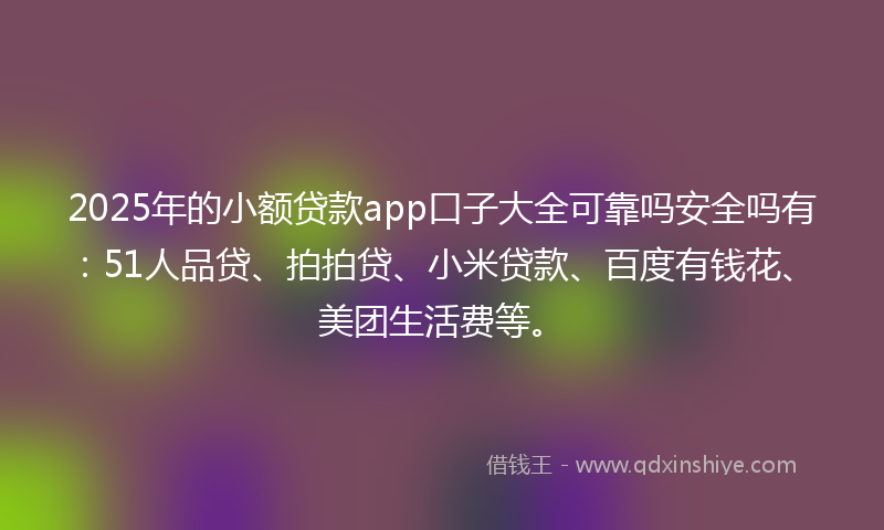 2025年的小额贷款app口子大全可靠吗安全吗有：51人品贷、拍拍贷、小米贷款、百度有钱花、美团生活费等。