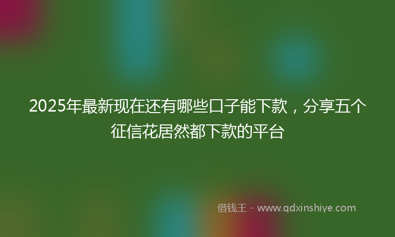 2025年最新现在还有哪些口子能下款，分享五个征信花居然都下款的平台