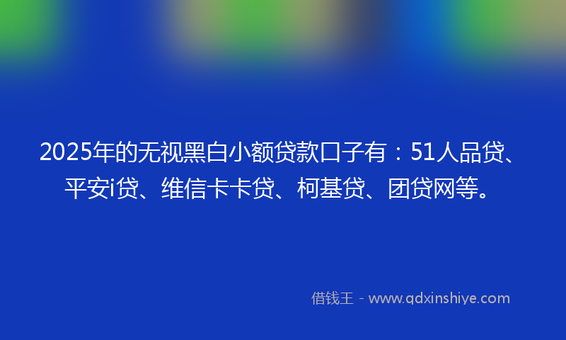 2025年的无视黑白小额贷款口子有：51人品贷、平安i贷、维信卡卡贷、柯基贷、团贷网等。
